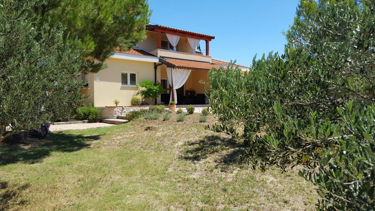 Resort Apartment Petrovic شيبينيك المظهر الخارجي الصورة