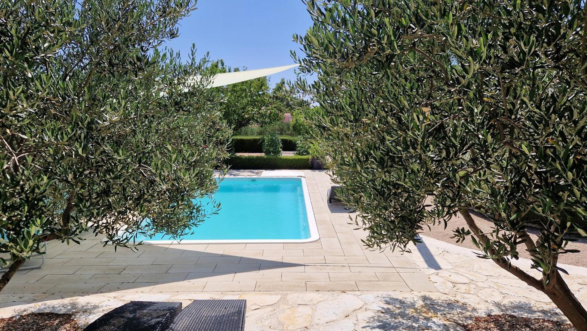 Resort Apartment Petrovic شيبينيك المظهر الخارجي الصورة