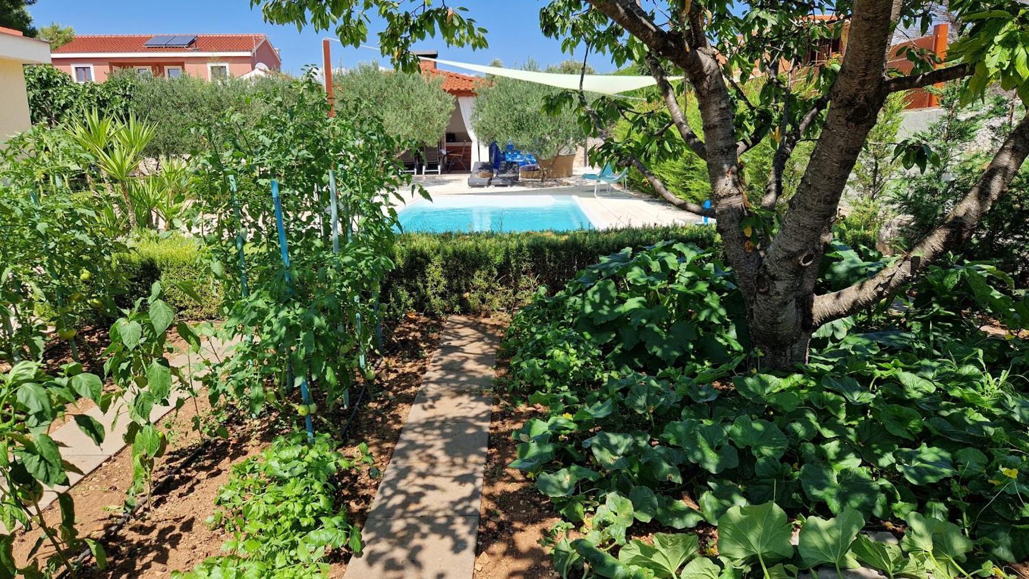Resort Apartment Petrovic شيبينيك المظهر الخارجي الصورة