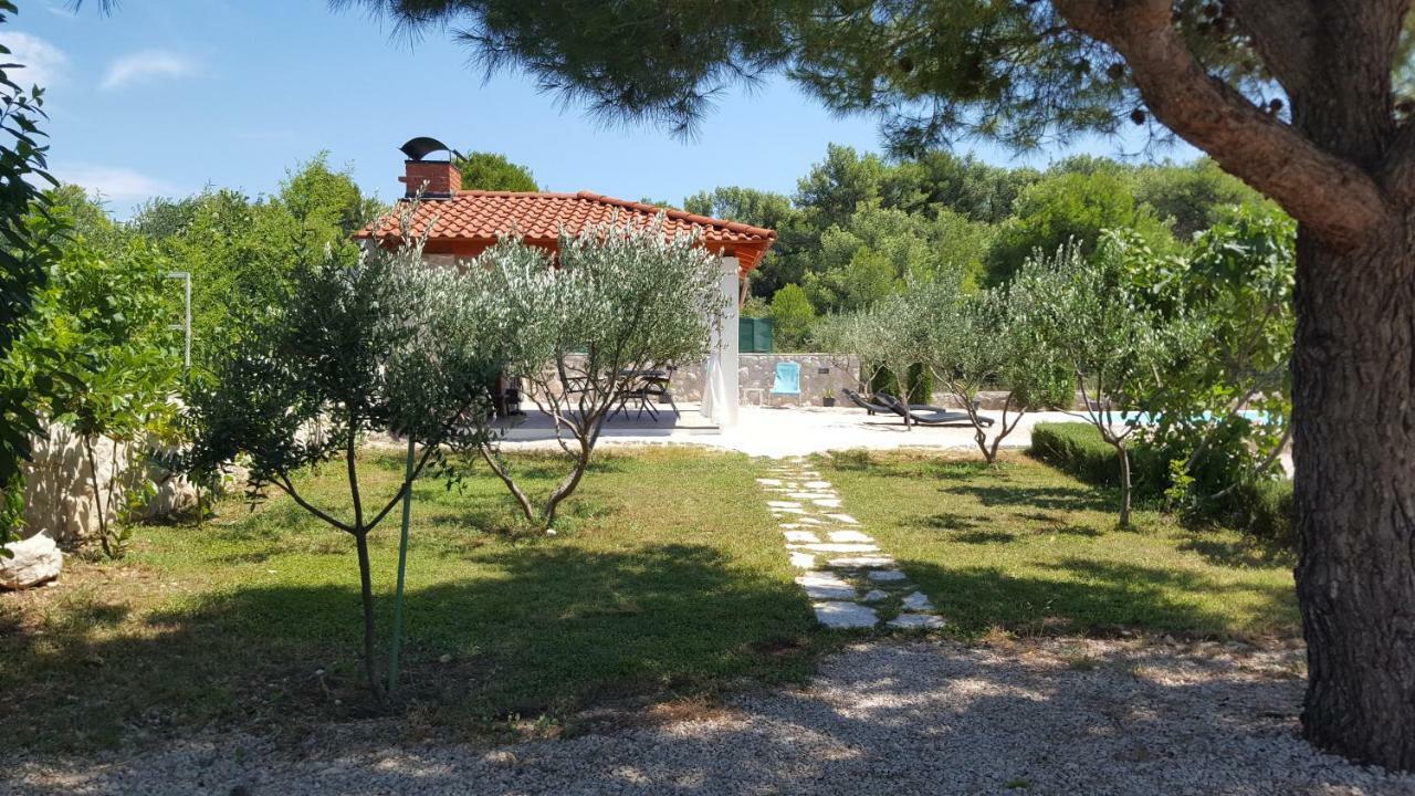 Resort Apartment Petrovic شيبينيك المظهر الخارجي الصورة