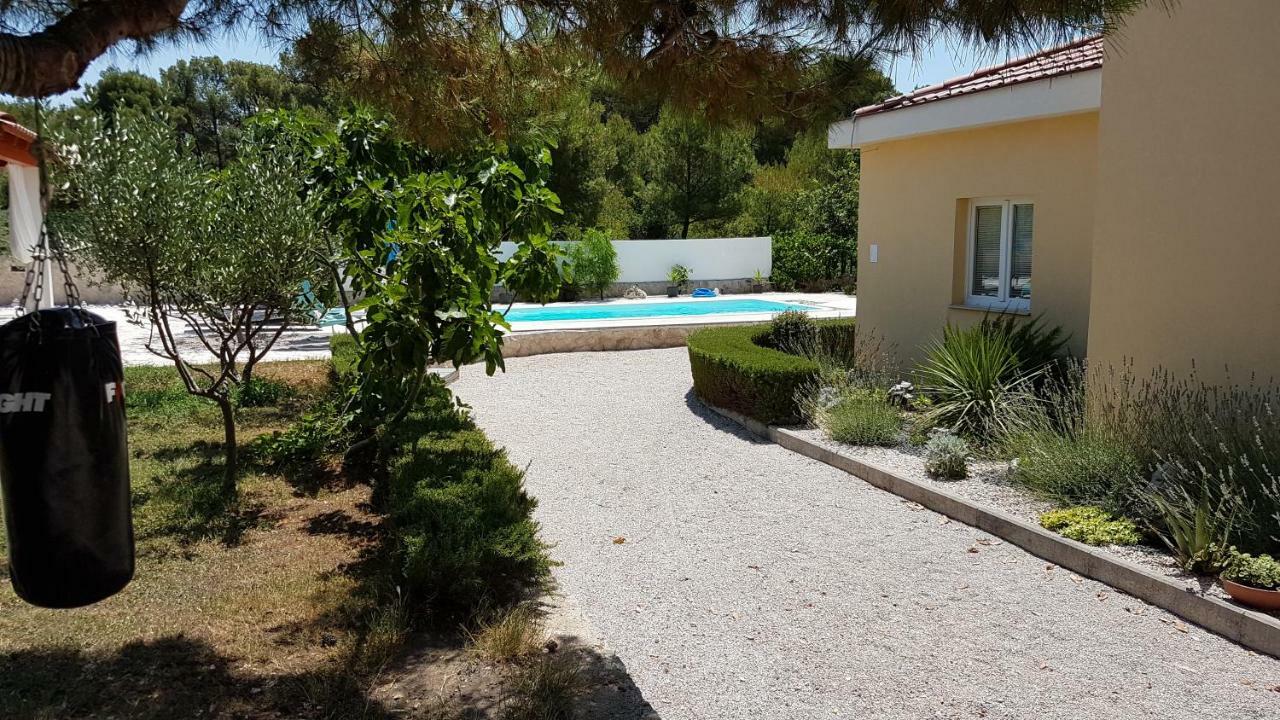 Resort Apartment Petrovic شيبينيك المظهر الخارجي الصورة
